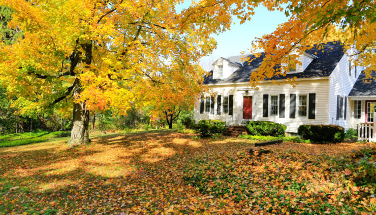 3 Fall Landscaping Tips to Get Your Yard Ready for Winter