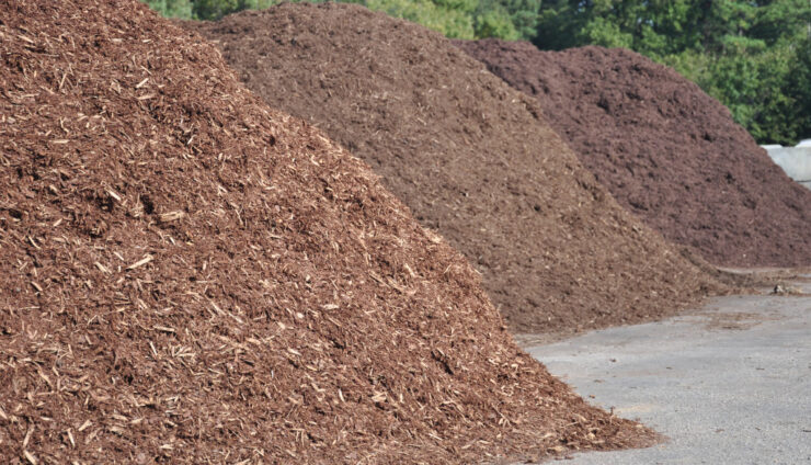 Reasons Why You Should Mulch Your Garden and Landscaping