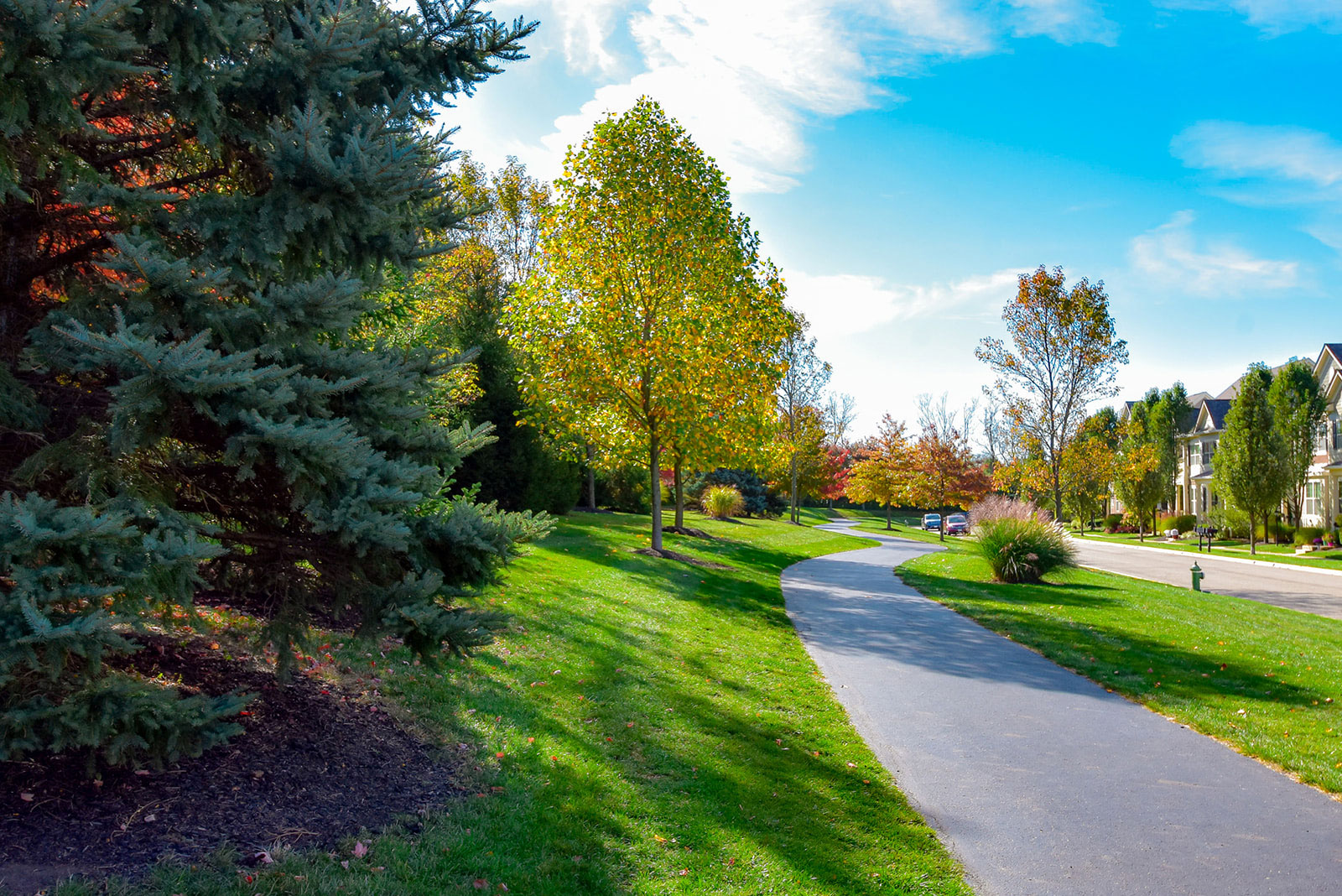 Grass Seed Planting in Ohio Five Seasons Landscape