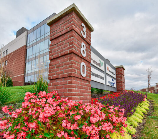 Portfolio - Landscape Management for All Seasons