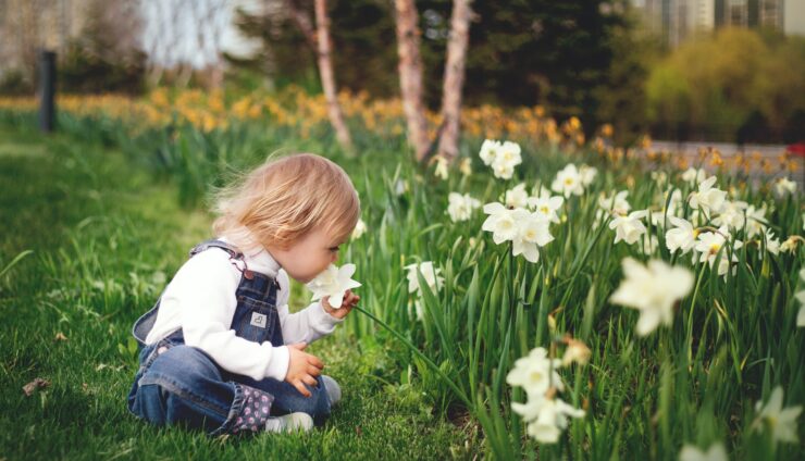 Plant Spring Bulbs in the Fall