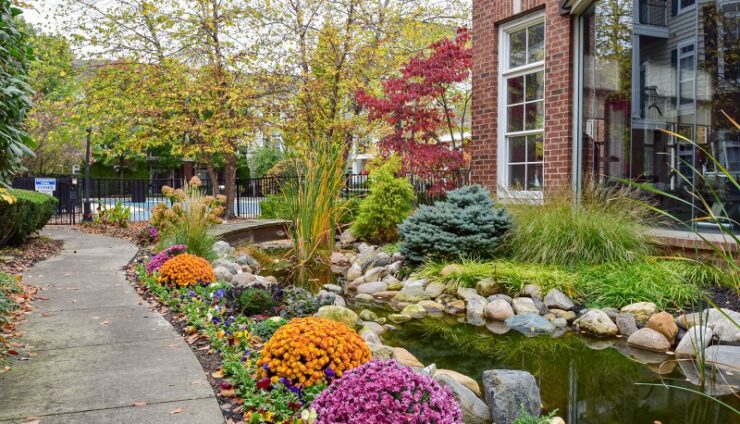 Looking for “Landscape Design Near Me?” We’re Five Seasons