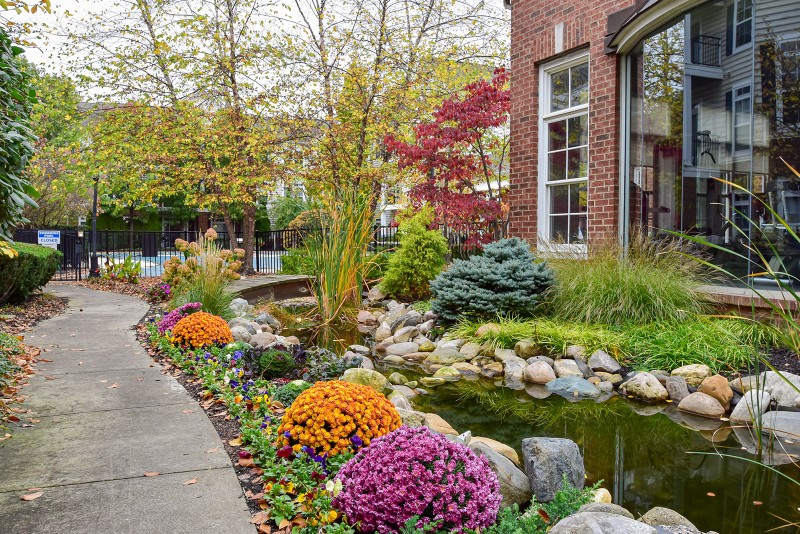 Looking for Landscape Design Near You? Five Seasons Landscape