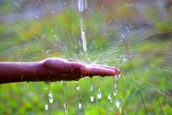 Searching “Irrigation Repair Near Me”? Central Ohio — We Can Help!