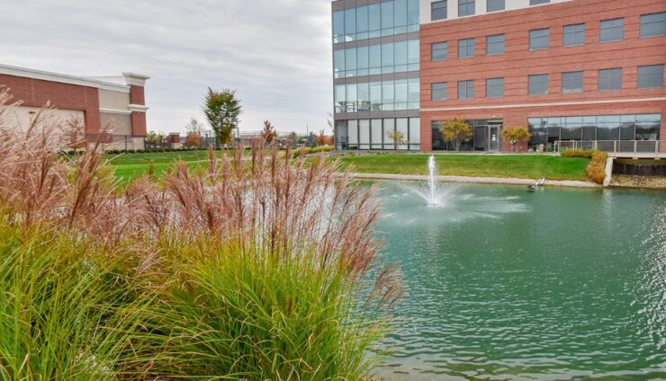 Pond Maintenance: Real Expertise, Real Results