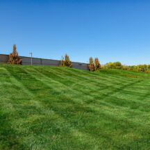 Commercial Weed Control 101: Keeping Your Lawn Happy All Season Long