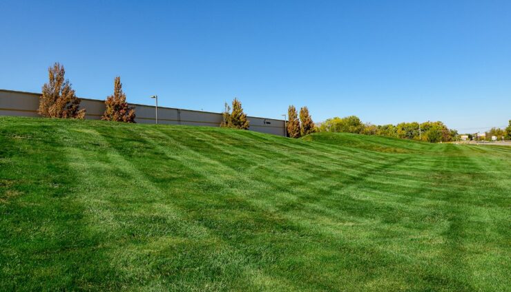 Commercial Weed Control 101: Keeping Your Lawn Happy All Season Long