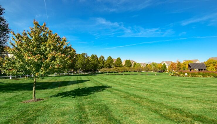 Industrial Lawn Care Keeps Your Property Polished and Professional