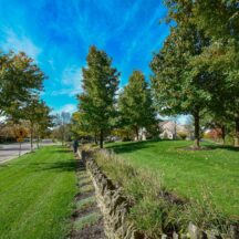 Choose Five Seasons for Reliable Commercial Landscape Maintenance