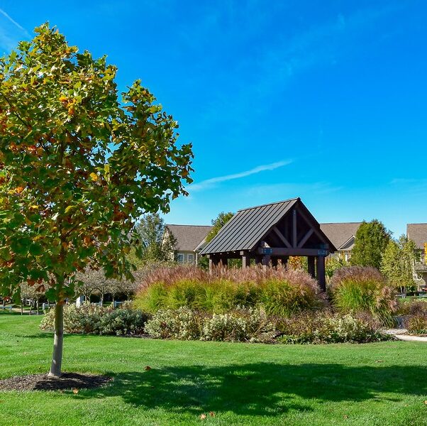 commercial landscape maintenance
