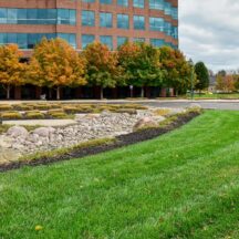 Why Hiring a Professional Team for Commercial Lawn Maintenance Is Good for Business