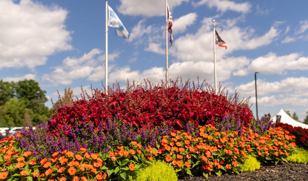 Commercial Landscaping