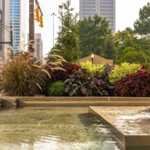 Top Benefits of Commercial Landscaping