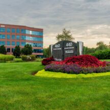 Six Services That Are Provided in Commercial Landscaping
