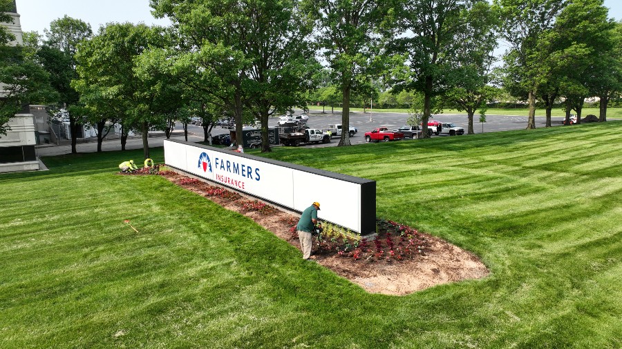 bulbs-to-plant-in-fall-to-enhance-your-commercial-property