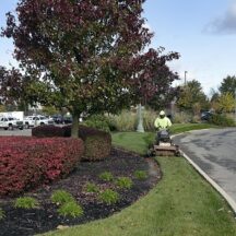 Essential Commercial Leaf Removal Services for Fall