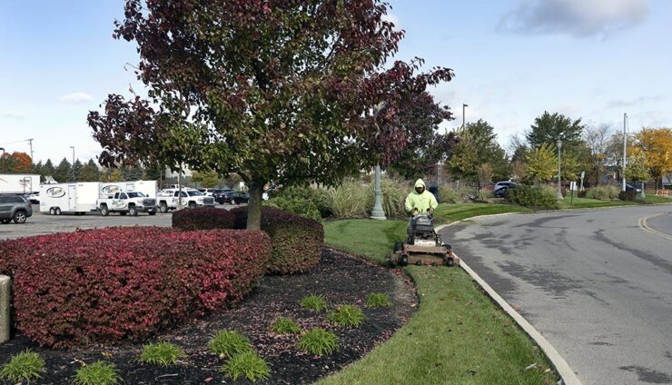 Essential Commercial Leaf Removal Services for Fall